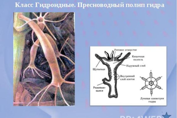 Ссылка на кракен лукойл
