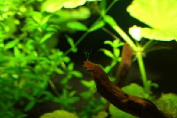 Кракен даркнет ссылка kraken link24 info